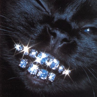 mugakoss93230's profile picture. casual observer