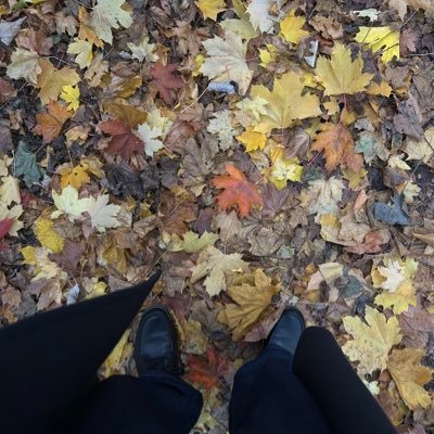 fastandvolatile's profile picture. playing