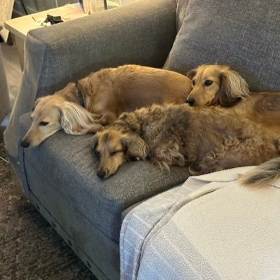 cycles13's profile picture. Conservative, Constitutionalist, Anti-Liberal Lunatics & anti-Right Wing Nut Jobs, 2nd Amendment advocate. Pro Christian, Israel, Police, Military, Term Limits