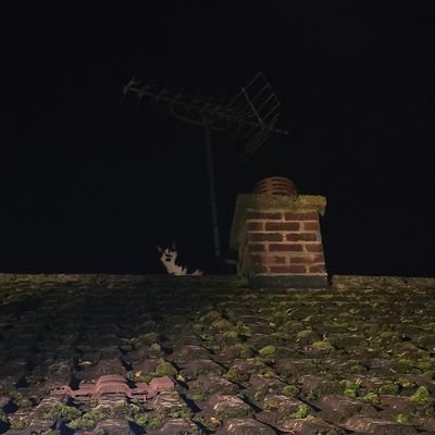 hjb1985's profile picture. Life isnt about waiting for the storm to pass... It's learning to dance in the rain... ☁️⚡️☔️