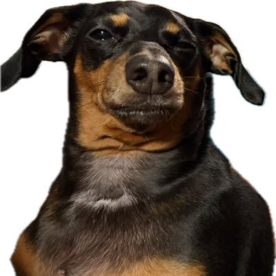 BertoSantii's profile picture. Cero Miedo 🇵🇷🇪🇨🇺🇸 #NoleFamily | #NEPats