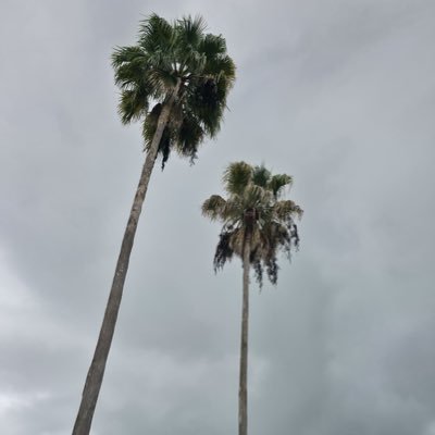 Andreaaaglzjb's profile picture. Justin followed me 13/05/15✨❤️ Believe tour 18/nov/13🌟💥 purpose tour México18/feb/17🔥💫 Justice Tour22/05/22🤯