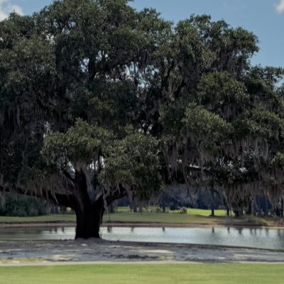 andreaspillers's profile picture. 