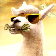 LlamaOnX's profile picture. Llama on Discord