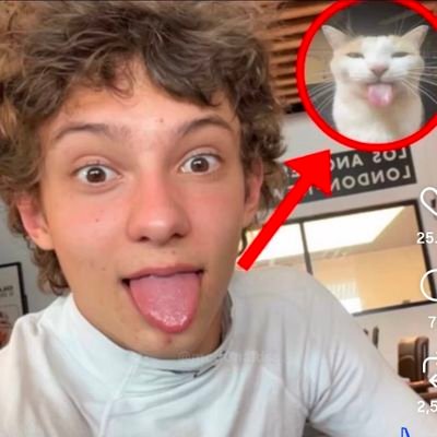 iebdisbsks91151's profile picture. I love you and formula