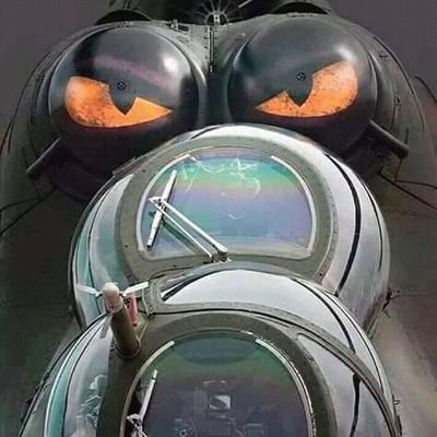 marcf4817's profile picture. 