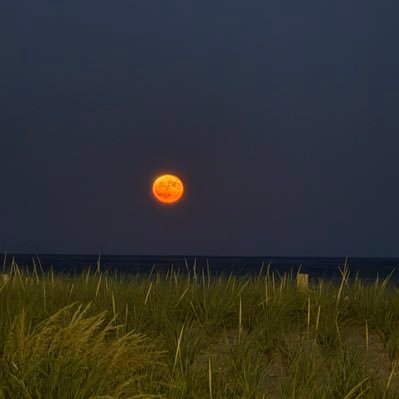 3NJRTaylor's profile picture. 