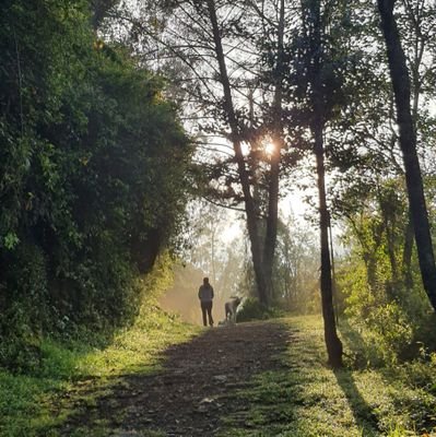 kuskunga's profile picture. Mitad humana, mitad café.
Superbonita.