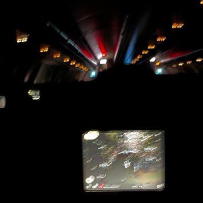 ChiuHorse's profile picture. 努力過的人都是戰士