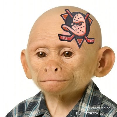 angelsblowpen's profile picture. WE ARE THE BLOWPEN!😤🤝 Waiting for our next Scot Shields👑. We’re trying our best guys...