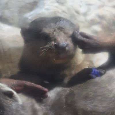 gyakgyagya8's profile picture. 일상/취미