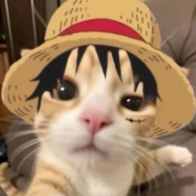 luffylover66six's profile picture. man idk wtf ima talk bout this my burna.  19 btw also looking for fat but buff older men w hairy chest and fat shlongs :)