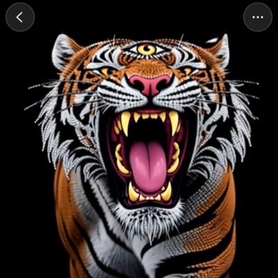 TheTickerTiger's profile picture. We’re literally flying thru space on a rock|Realize whats important|Chase Jesus|Seek1st|Live Love|Life is coming from you|Be Gracious|Have Gratitude🙏🎣