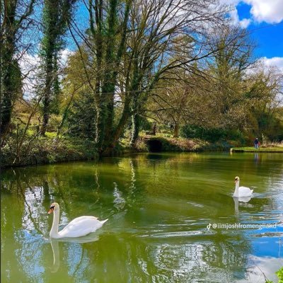 calmgentleman02's profile picture. iam morgan wallen