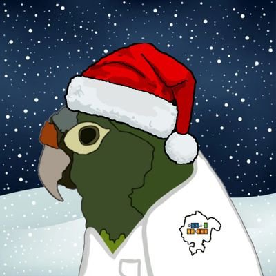 ocipl's profile picture. Somos un Think tank 💡dedicado al estudio, desarrollo y aplicación de conocimientos📚 que contribuyan a la construcción de ciudades más sostenibles 🏙🦜🍀