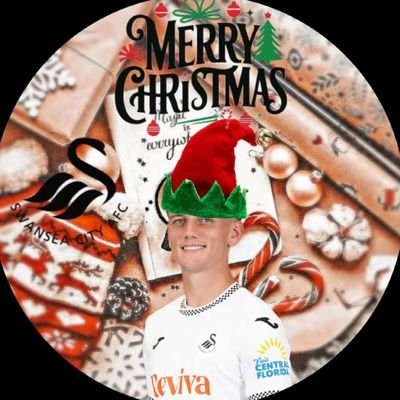 MorganKO_SCFC's profile picture. Uppa Swans🦢