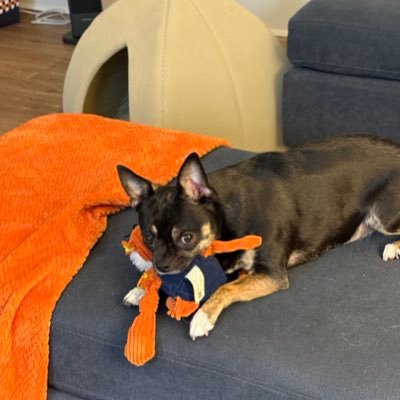 2004aumom's profile picture. 