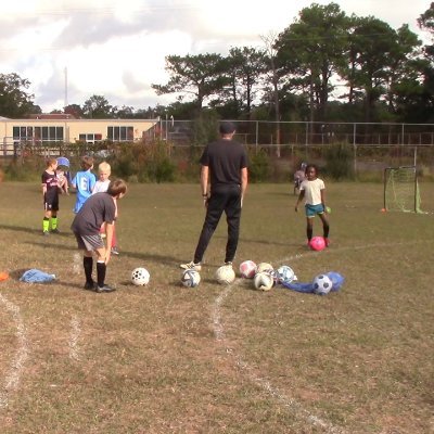 MLTraining8211's profile picture. 