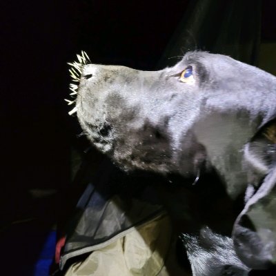 LostFountain's profile picture. Billy - Married - climber - hiker.  Ecclesiastes 12:11-14 Christian working on becoming an apologist for Jesus and His Word. Jesus is Lord.