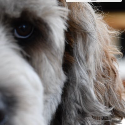 ScottFa83101057's profile picture. US Air Force Veteran.  Wokeness is a mind disease.