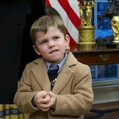 LittleX083's profile picture. 