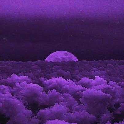 thando_njili's profile picture. 