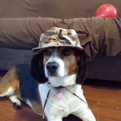 Crypto_PulseHQ's profile picture. Former MAGA. Trump sold us to Isreal. It's all lies. Kanye was right. I stand with Tucker and Candice. The world is a stage...