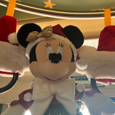 Disney4choku's profile picture. ﾃﾞｨｽﾞﾆｰ/みにたん🎄/フリーきっぷ/うさぎ🐰/旅行/ｸﾞﾙﾒ/96🚹