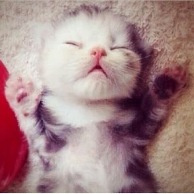 weirdheartgirl's profile picture. I recently learned I have been taking the wrong medication for some time