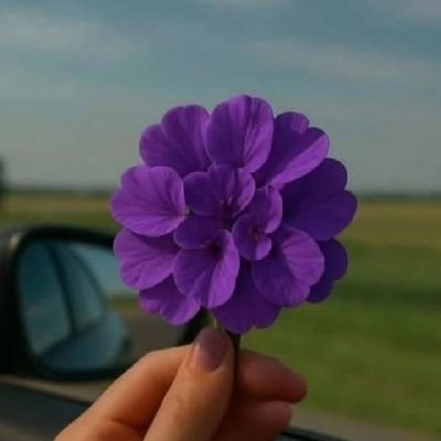 NormaBecer90185's profile picture. 