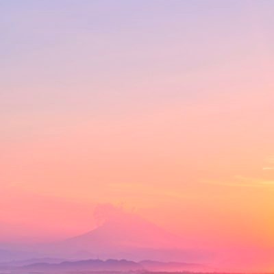 nemu773's profile picture. 