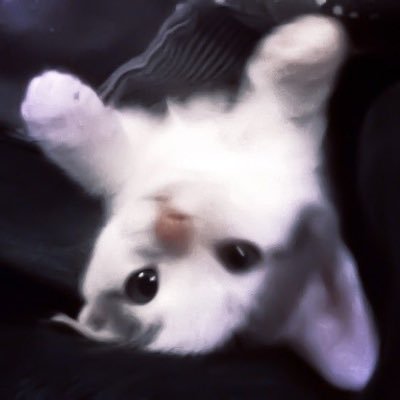 way_toosilly's profile picture. evil genderfluid cat | any pronouns | 22 | will yap for hours if you let me | MDNF