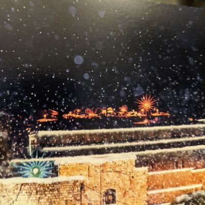 armageddon8888's profile picture. There is no real safety outside of Jesus Christ.