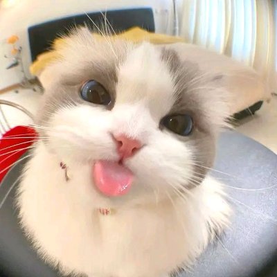 ffushirx_'s profile picture. 