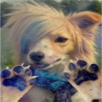 NEWESTPSYCHOSIS's profile picture. squeak