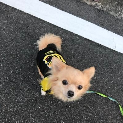 Yukitoshi4151's profile picture. 