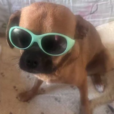 Yong32192002's profile picture. 极左和极右都是tmd臭傻逼。