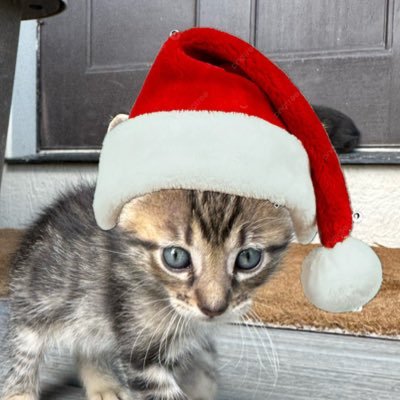 GusVague's profile picture. The real master of the cope|19M| alt: @vaguelift