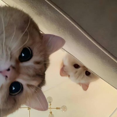 SterlicsRuiz's profile picture. 日本語を勉強してニュースアカウントを見ます。🎀
日本語でツイートすることにしました。🐱‍🚀

食べ物と旅行、株式投資、仮想通貨が好きです。📈
私も日本語の練習を手伝ってもらえると嬉しいです。(ಥ _ ಥ)
新しい人と知り合うのも楽しいですね,ハハハ😀
よろしくお願いします