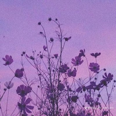 sisiuju's profile picture. I'm too full of life to be half loved...