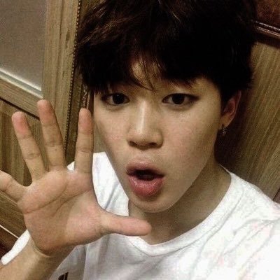 leeluvjimin's profile picture. canadian 🦫 | 20 | jimin 😮‍💨