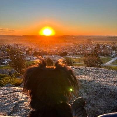 Sool_De_Sosa's profile picture. 23.