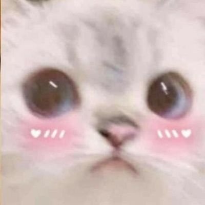 syrianayah's profile picture. New acc