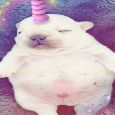 mat02712's profile picture. シ︎