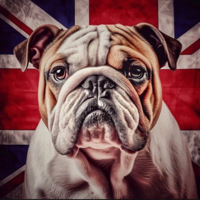 Lou_Gooner77's profile picture. 🇬🇧Londoner born & bred. Arsenal 4 life. London is lost as is the UK with Labour in power. God help us all 🏴󠁧󠁢󠁥󠁮󠁧󠁿