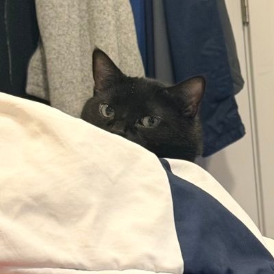 Ryus77x's profile picture. 