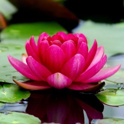 NarsannaS9238's profile picture. Sri Narasanna Interlink Ambassadors