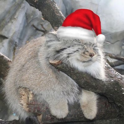 GabrielofBoone's profile picture. Gabriel | Orthodox Christian | Milsurp Enjoyer | Boyfriend to @Izzitism | Eagle Scout | PW 🌲| 🇺🇸🇩🇪🏴󠁧󠁢󠁥󠁮󠁧󠁿| ☦︎ Make America Holy ☦︎ | INACTIVE