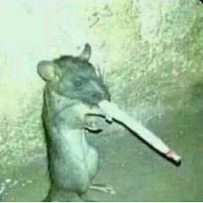 Dmb_Frmr's profile picture. 