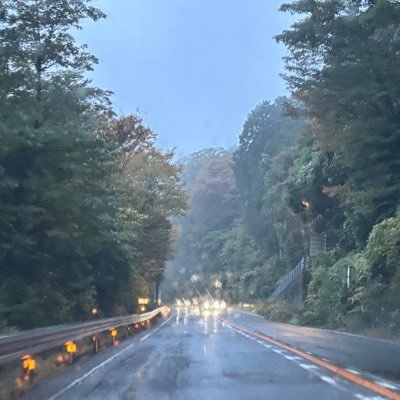 ayis_dsi's profile picture. Roadmap of NW to 3m  (国内株)